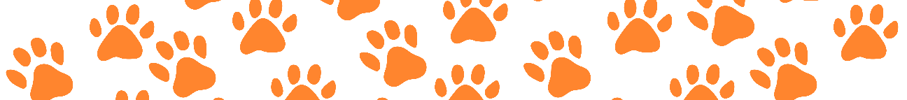 Pets Portal Banner
