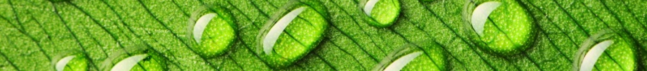 Amazing Facts Banner