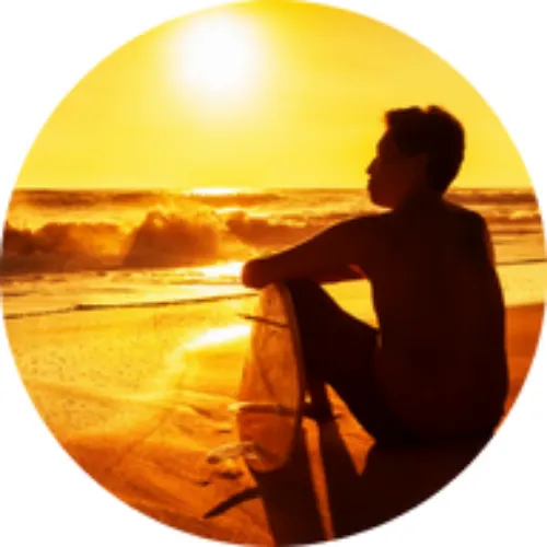 Endless Summer Florida Logo