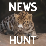 News Hunt Logo