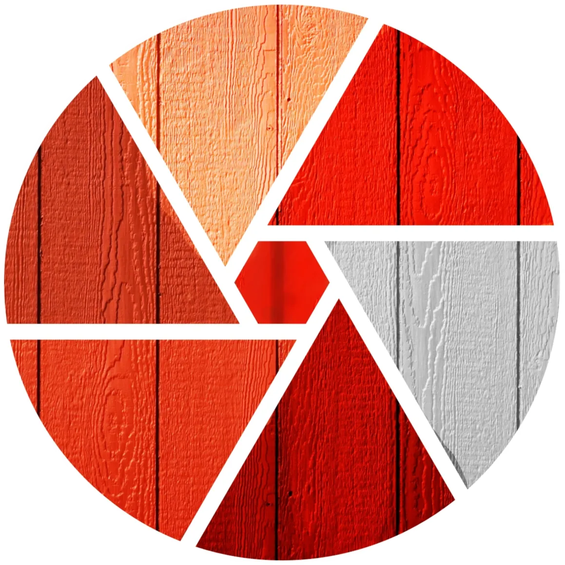 Channel Revista din Lemn Logo