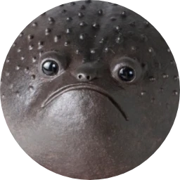 Black Rain Frogs Logo