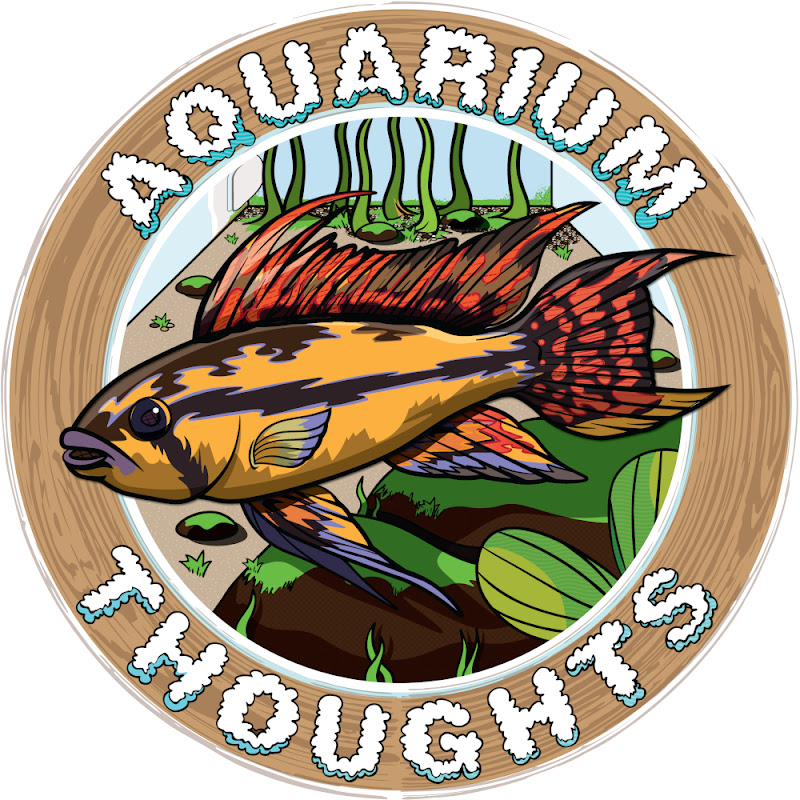 Aquarium Thoughts Logo