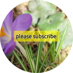 Heather's Channel Logo