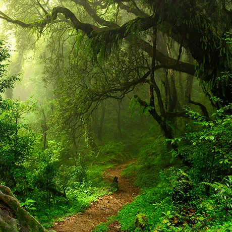 Inspiration Podcast Logo