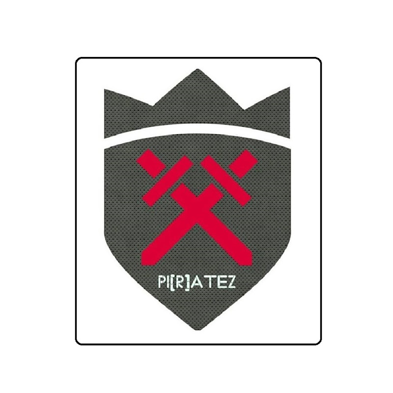 Pi[R]aTeZ GameIN Logo