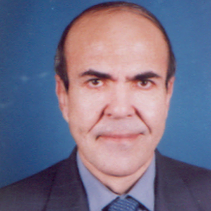 Prof.Ibrahim Soliman Logo