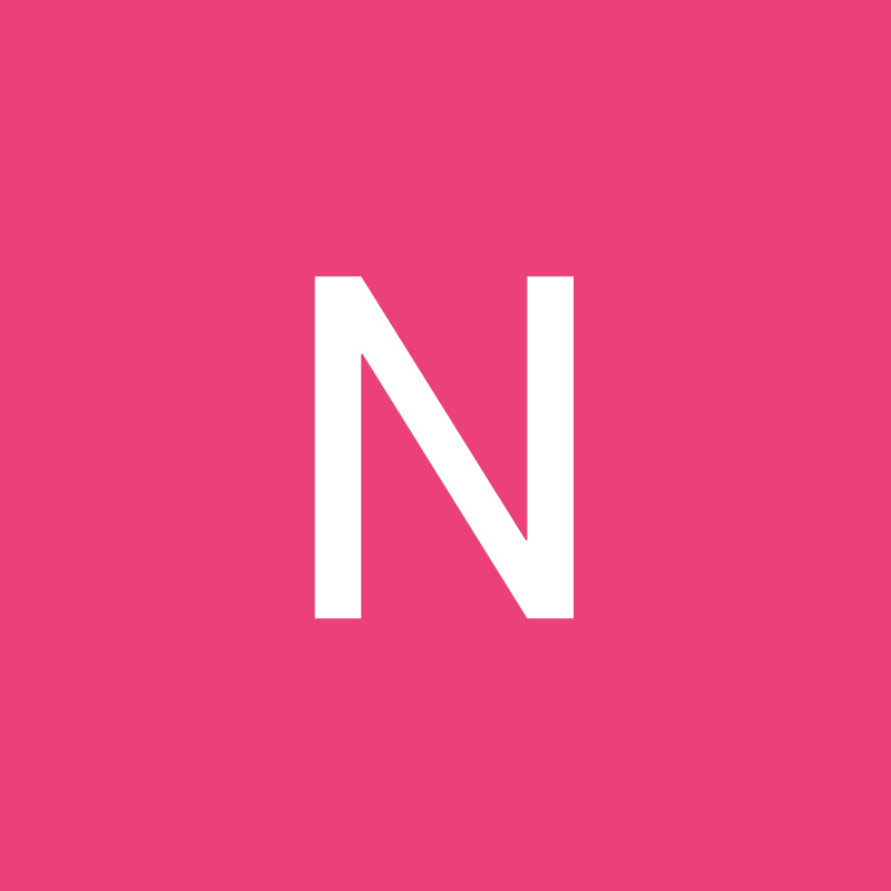 Ninel Bubon Logo