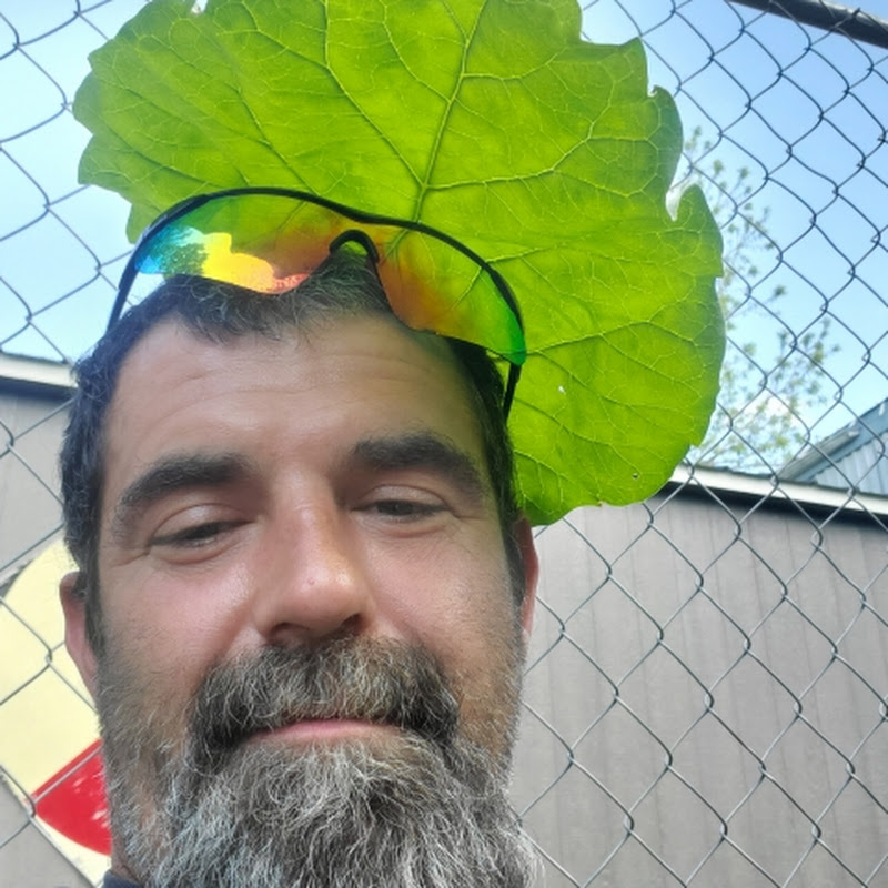 Mike the man mcveeneygames Logo