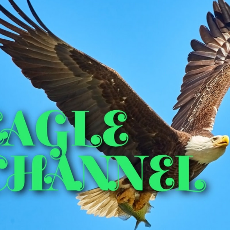 Eagle Channel esube Logo