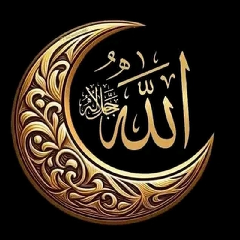 قناة الدعوة الإسلامية ISLAMIC PREACHING TV Logo