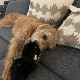 Avy and Mia’s fun adventure Logo