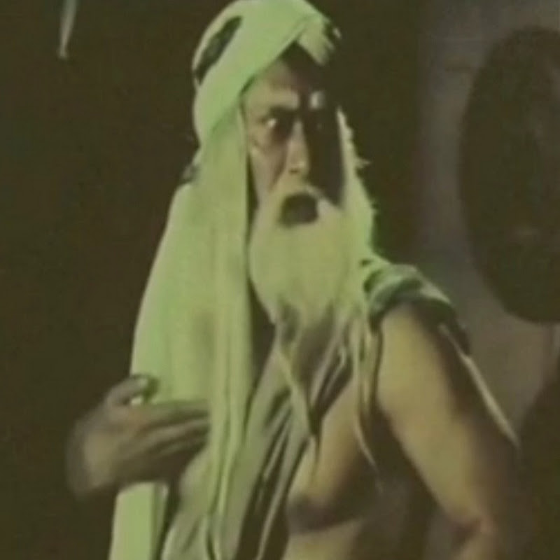 Publiknusantara Logo