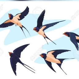 por trilhos e pensamentos Logo