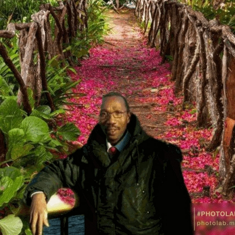 Prof Rabbieu Sankoh Music