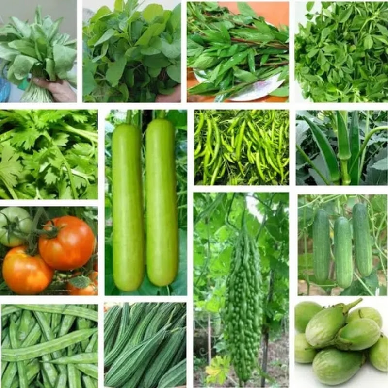 Indian Farmers Education Logo