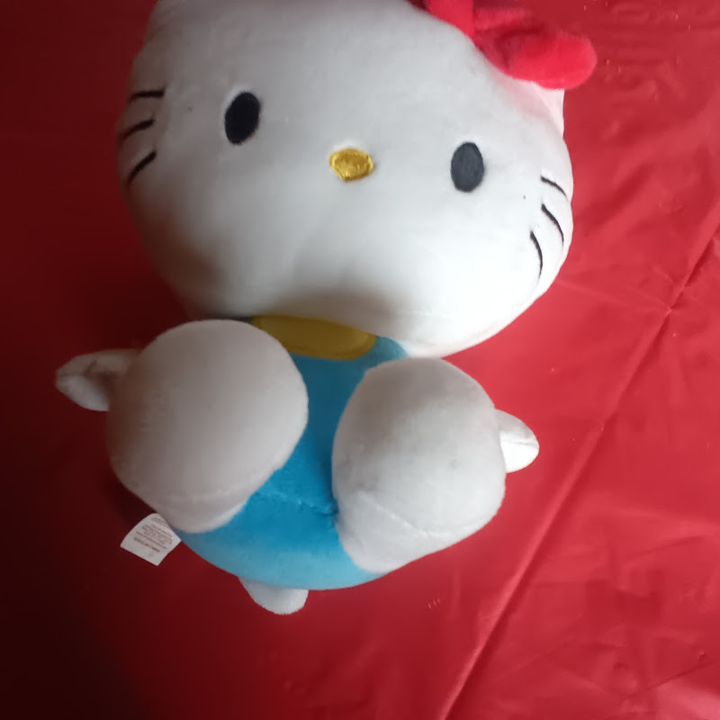 Rainybows💐🐾 Logo