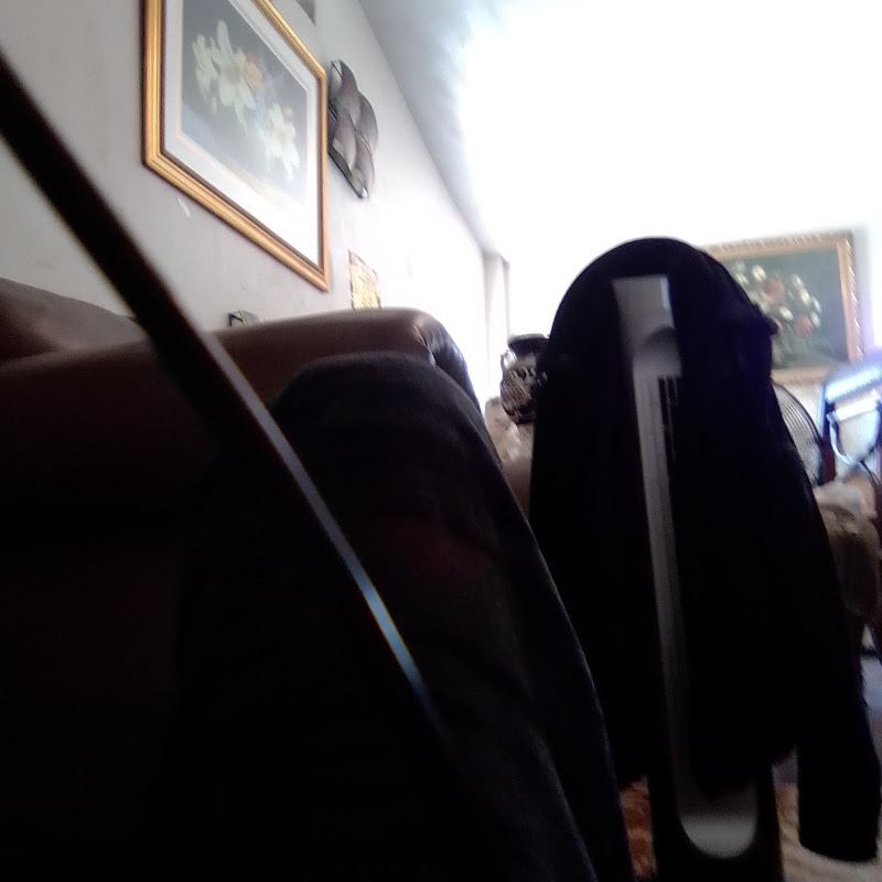 SA PI BEL PRODUCTIONS AND SEEXY NADEGE ENTERTAINMENT Logo