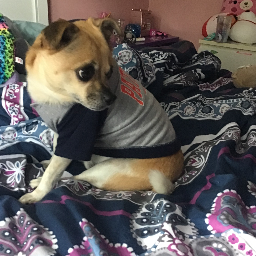 nic and friends Logo