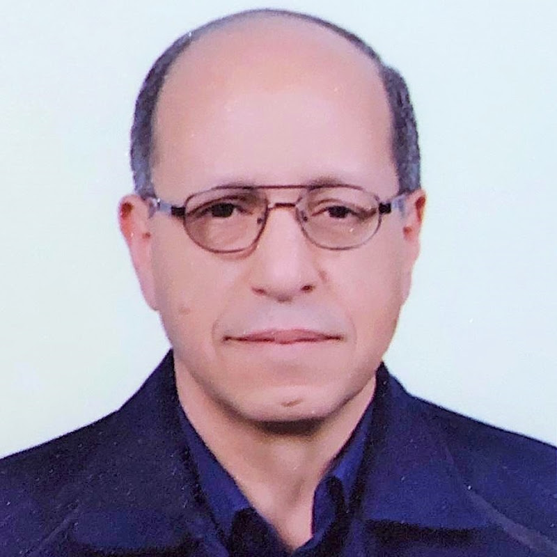 Dr.Mohamed A. Ismail Logo