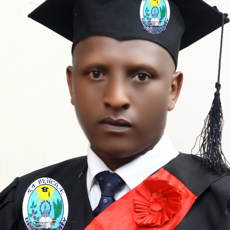 Birukabreham Desta Logo