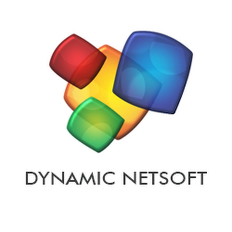 Dynamic Netsoft Technologies Private Limited Logo