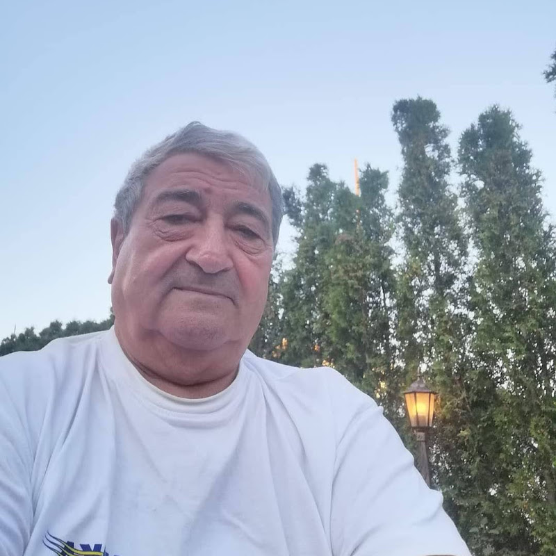 Dimitur Vasilev Logo