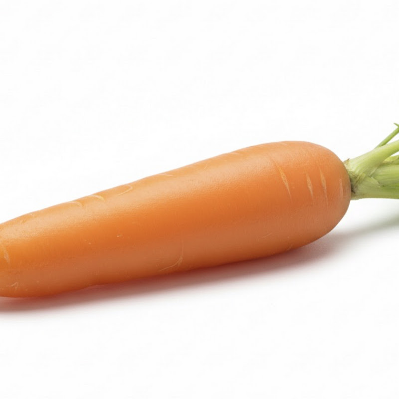 MrCarrotYT