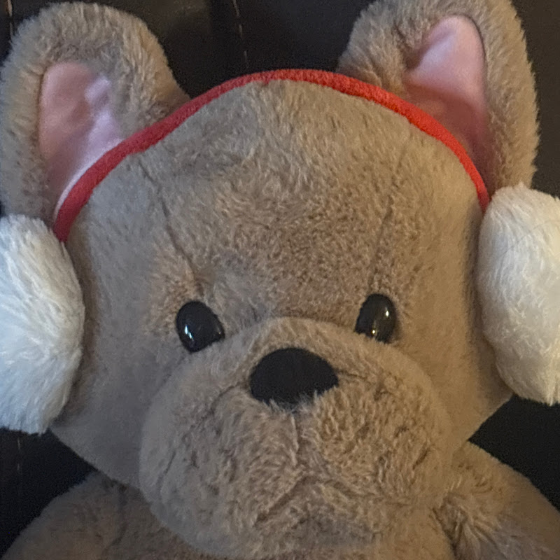 Teddy clan Logo