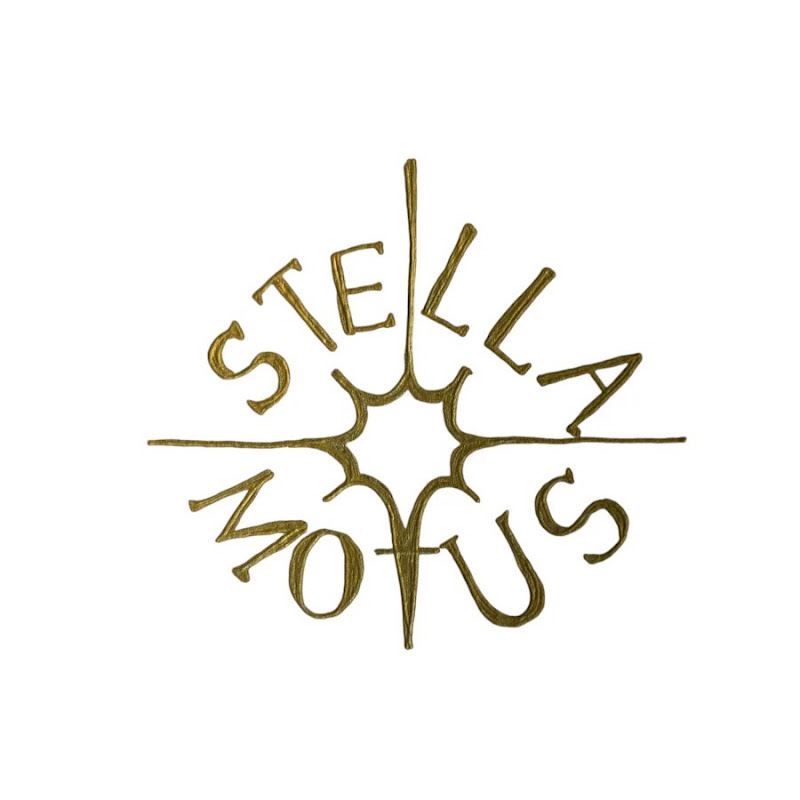Stella Motus Service LLC Logo