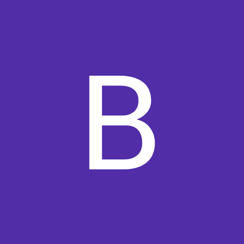 Bigoliveworld_3-1 Logo