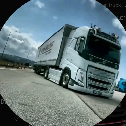 Danyal Trucks Logo