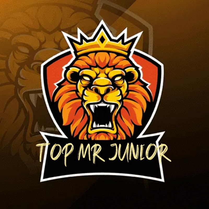 Top_Mr.junior-1 Logo