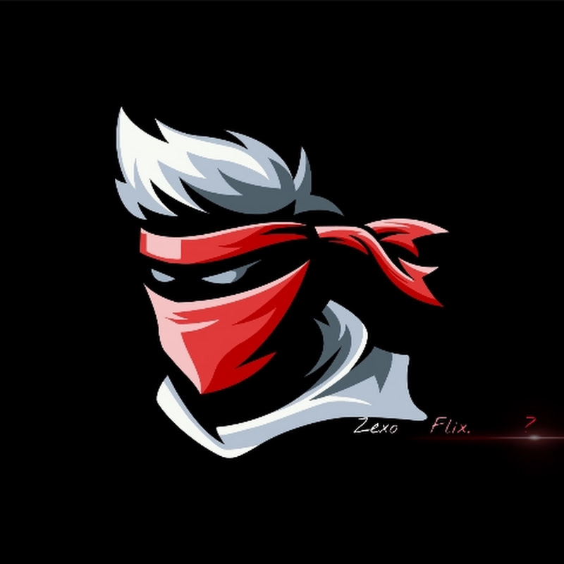 Zexo Flix. ? Logo