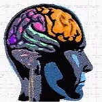 memory-improvement-tips.com Logo