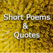 Short Poems Logo