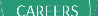 Video channel logo