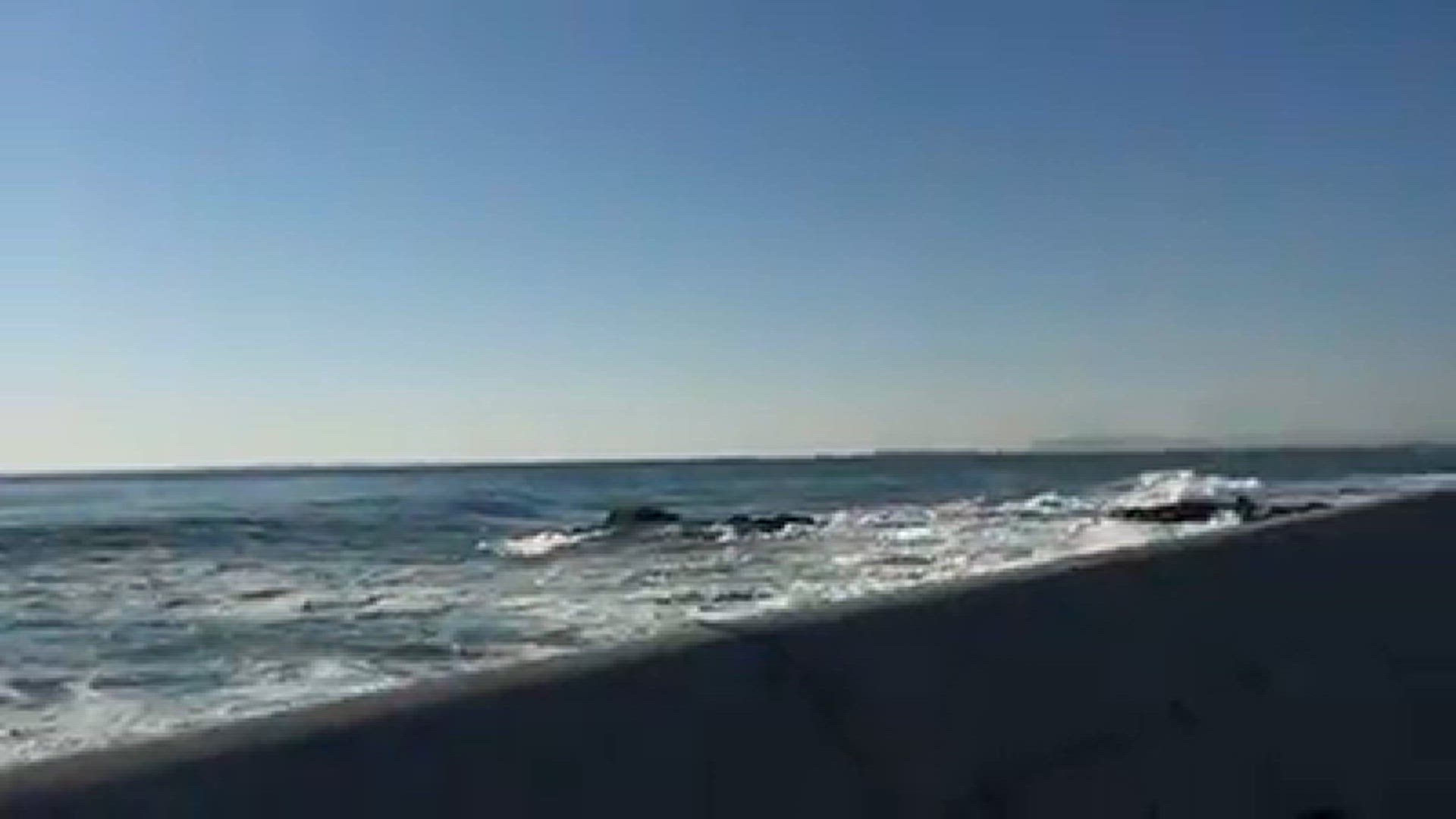 Video thumbnail for Sea Point Promenade Kapstadt Südafrika