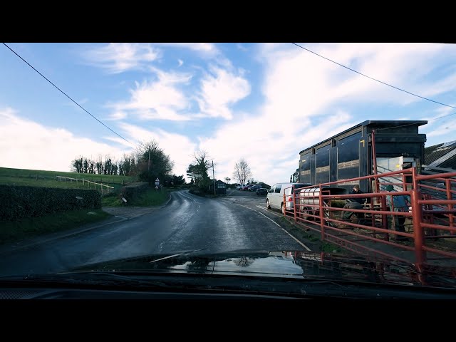 Video thumbnail for Lambs to Ruswarp December