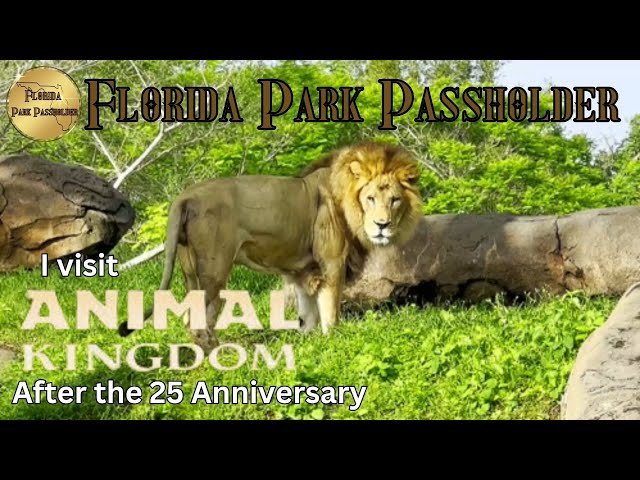 Video thumbnail for 🔴 Animal Kingdom after the 25th Anniversary