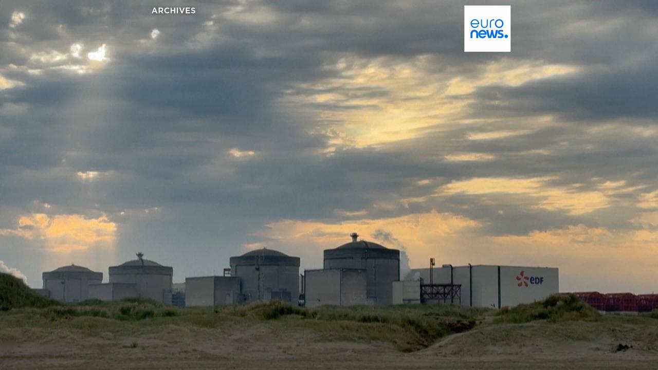 Video thumbnail for Jellyfish force shutdown of three reactors at France's Gravelines nuclear power plant
