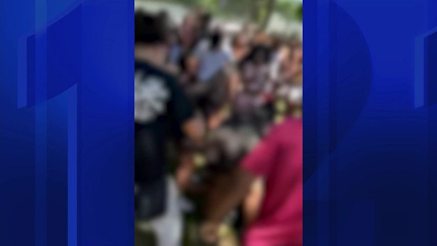 Video thumbnail for Deer Park teen hospitalized after alleged assault at park as police warn of teen takeovers