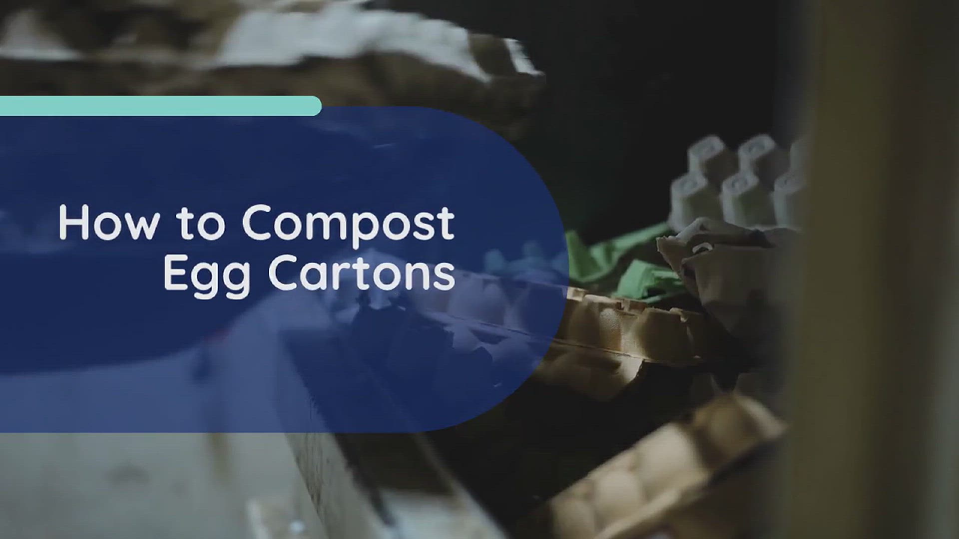 'Video thumbnail for How to Compost Egg Cartons'
