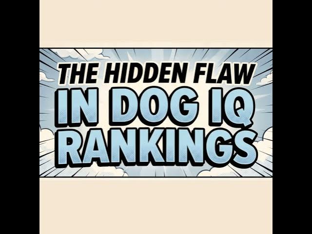 Video thumbnail for Why Smart Dogs Fail IQ Rankings