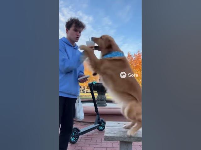 Video thumbnail for Bro took him down like a war world two Sergeant