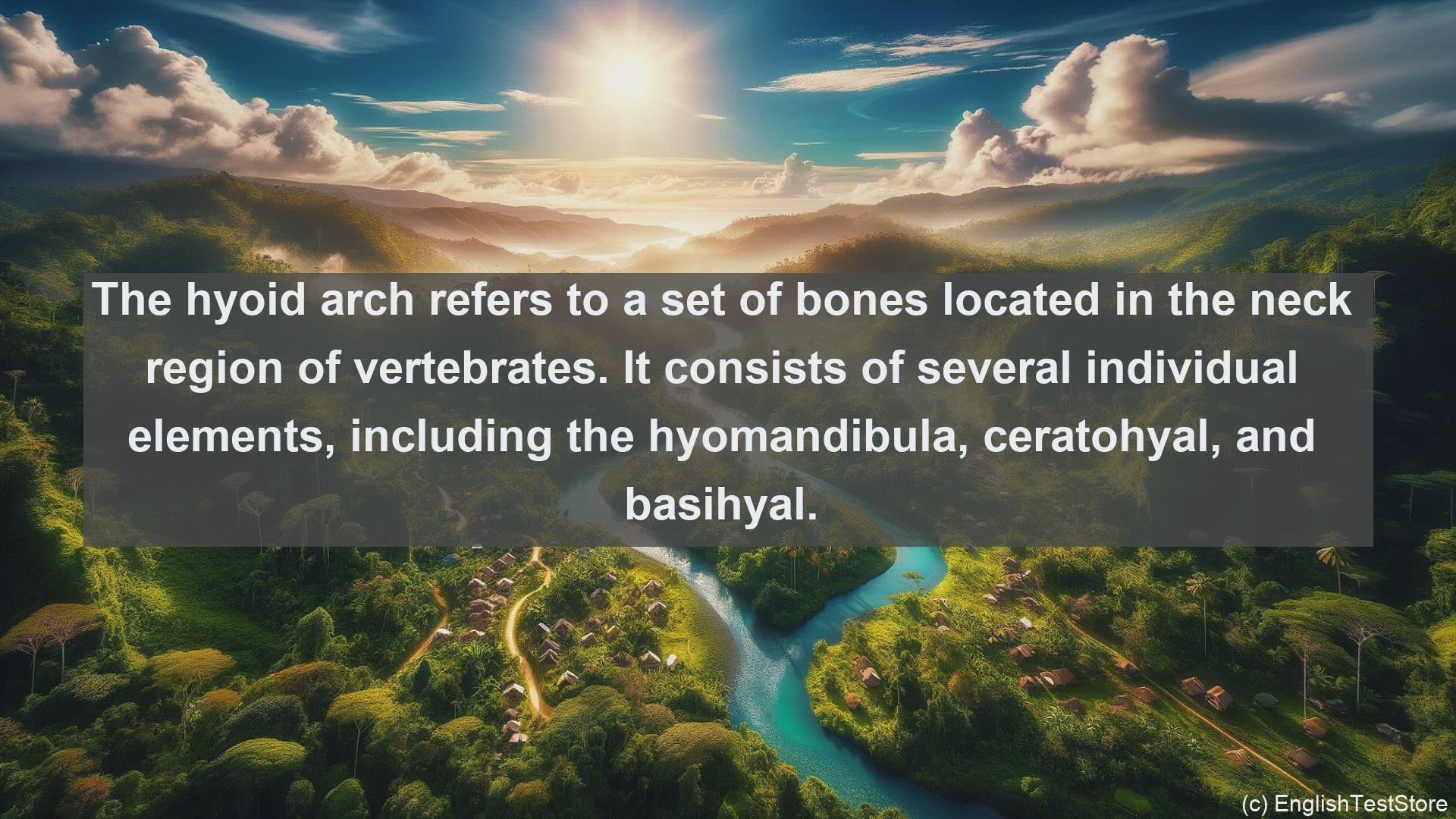 'Video thumbnail for Hyoid arch in science  definition and examples'