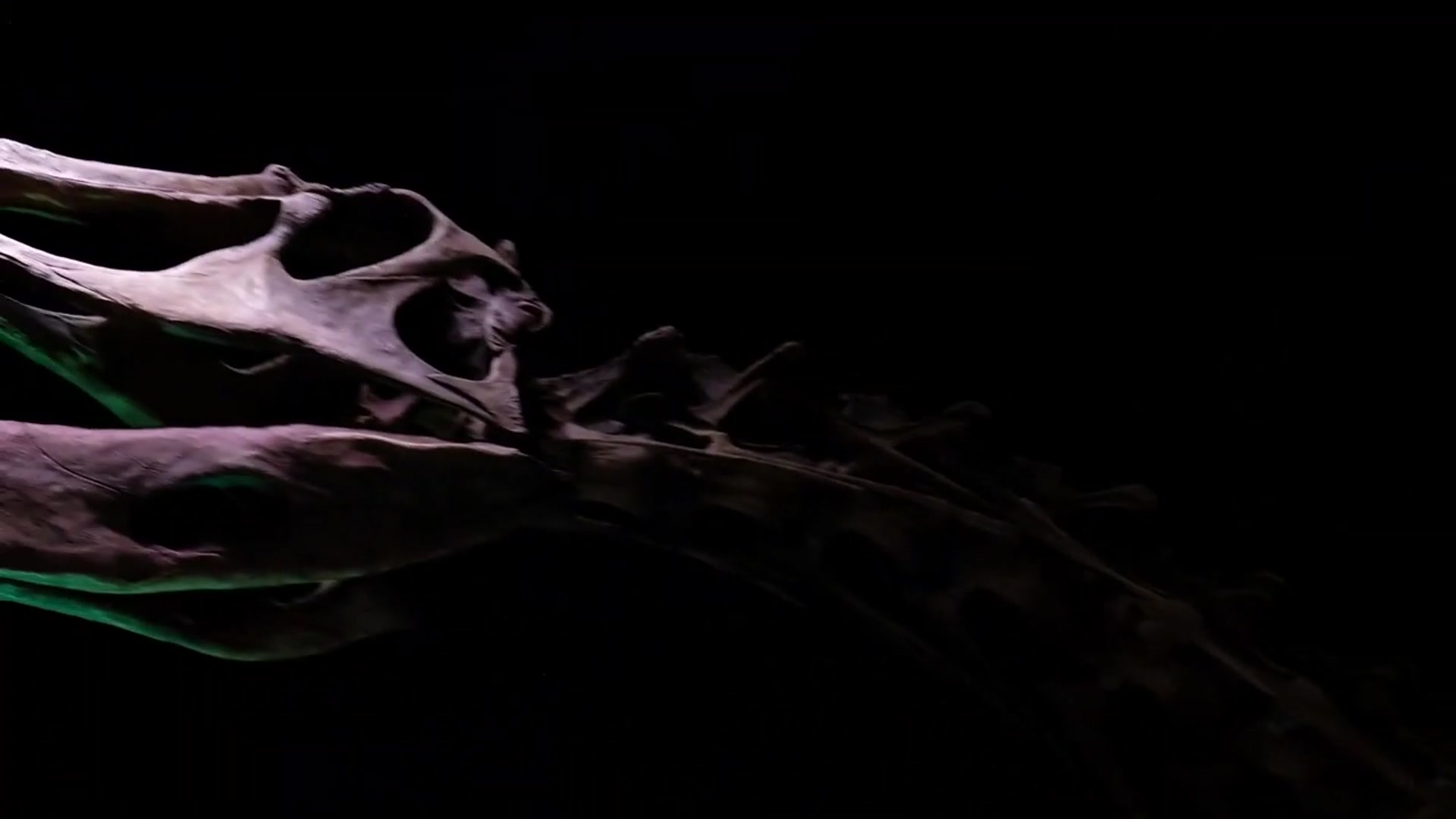 'Video thumbnail for Ultimate Dinosaurs Exhibit at Discovery Place Science - Charlotte, NC'