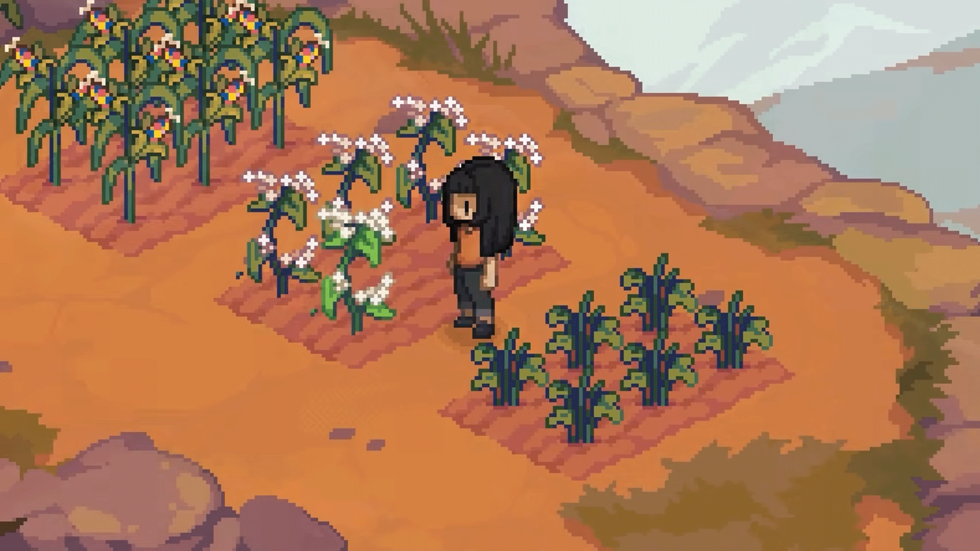 Video thumbnail for Grave Seasons - Official Release Date Trailer