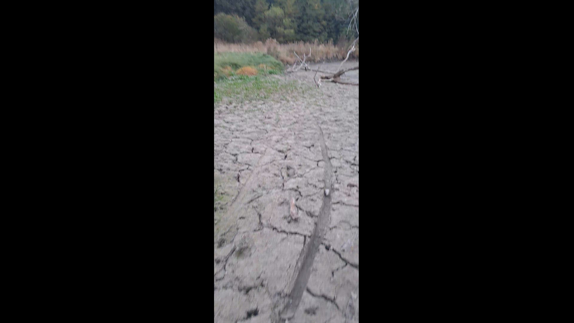 Video thumbnail for 1000043070