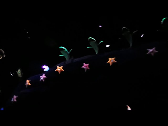 Video thumbnail for Disney Parade